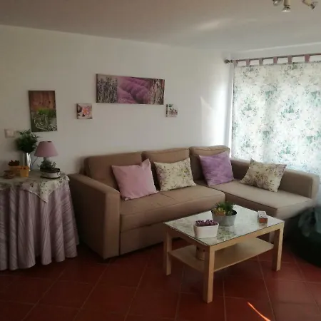 Casa Amarela - Regiao Do Douro Loureiro (Porto)
